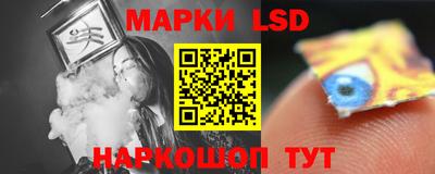 mdpv Заводоуковск