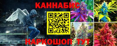 mdpv Заводоуковск